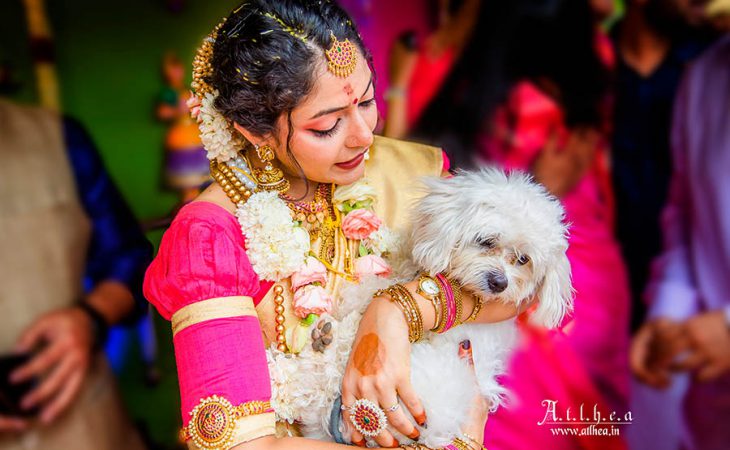 COUPLE & PETS